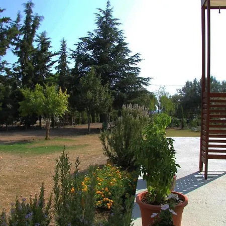 Holiday home Theofano Seaside Farmhouse In Skioni, Halkidiki Nea Skioni