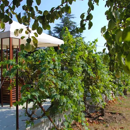 Theofano Seaside Farmhouse In Skioni, Halkidiki Semesterbostad Nea Skioni